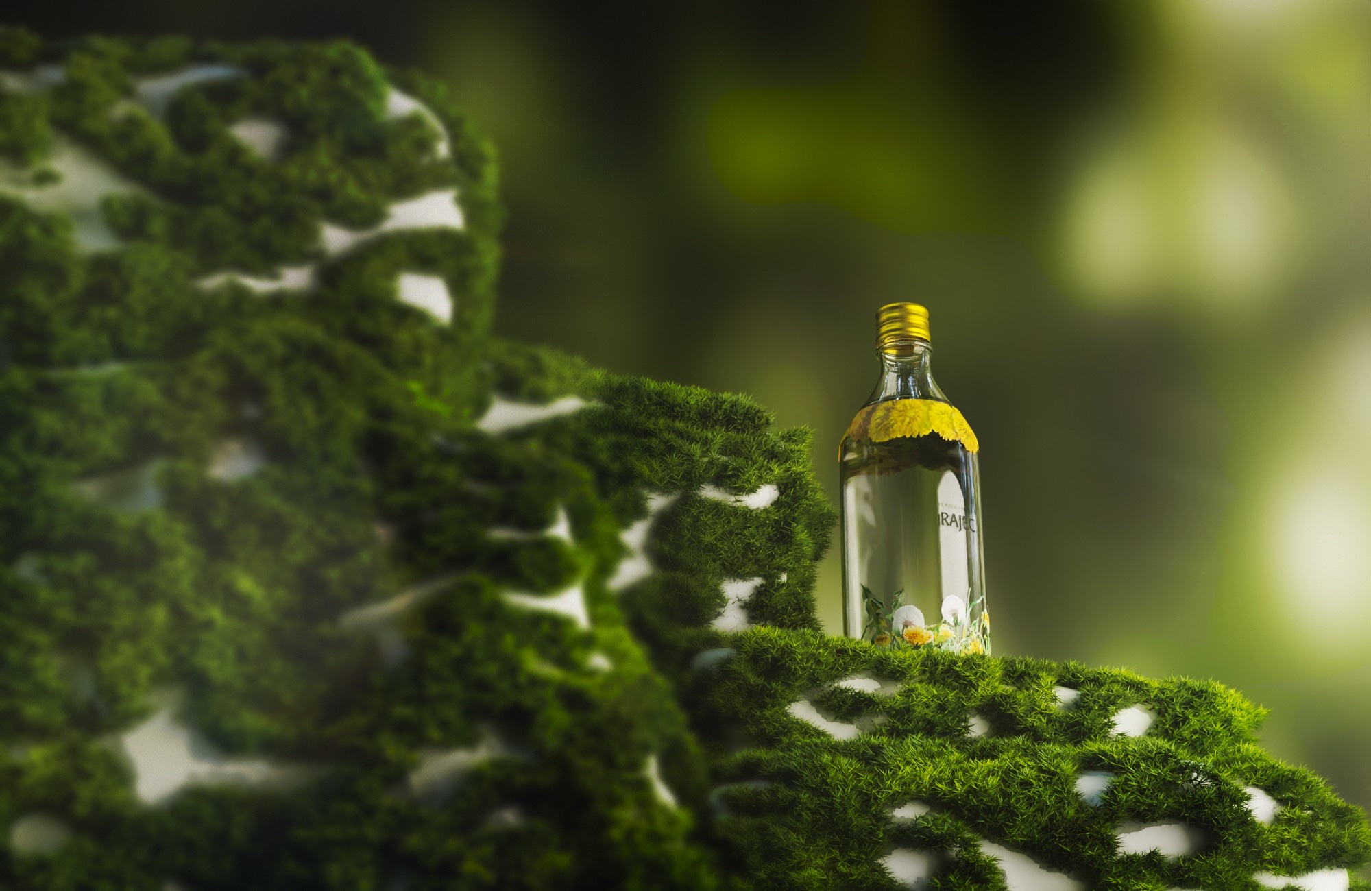 Rajec glass bottle concept